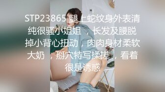 STP23865 腿上蛇纹身外表清纯很骚小姐姐 ，长发及腰脱掉小背心扭动，肉肉身材柔软大奶 ，掰穴特写揉搓 ，看着很是诱惑