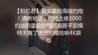 【粉红君】真实露脸高端约炮！清晰对话，推特大佬3000约战明星般的气质高颜平面模特太爽了床肏的嘎吱响4K原版