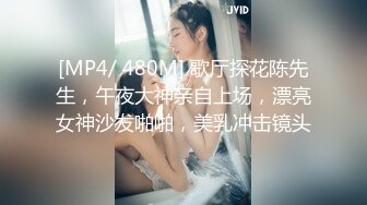 [MP4/ 480M] 歌厅探花陈先生，午夜大神亲自上场，漂亮女神沙发啪啪，美乳冲击镜头