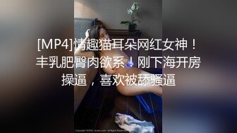 [MP4]情趣猫耳朵网红女神！丰乳肥臀肉欲系！刚下海开房操逼，喜欢被舔骚逼