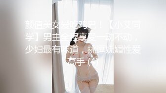 颜值美女爱吃鸡巴！【小艾同学】男主全程享受一动不动，少妇最有味道，挑逗妩媚性爱高手 (4)