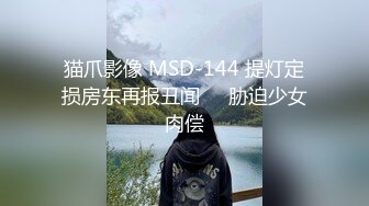 猫爪影像 MSD-144 提灯定损房东再报丑闻❤️胁迫少女肉偿