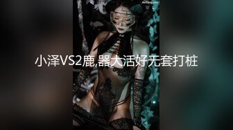 小泽VS2鹿,器大活好无套打桩