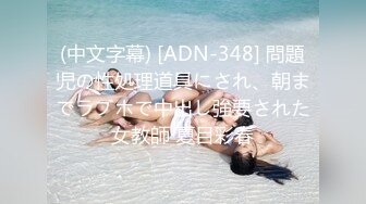 (中文字幕) [ADN-348] 問題児の性処理道具にされ、朝までラブホで中出し強要された女教師 夏目彩春