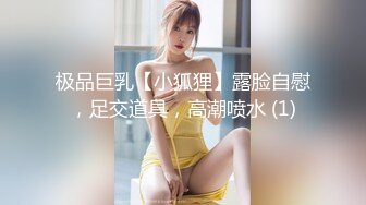 极品巨乳【小狐狸】露脸自慰，足交道具，高潮喷水 (1)