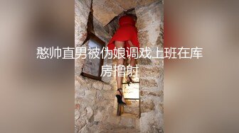 憨帅直男被伪娘调戏上班在库房撸射