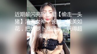 近期最闪亮的新星【偷走一头猪】清秀女神，长腿，貌美如花，把胡萝卜塞逼逼，玩得超刺激 (2)