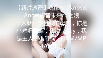 【新片速遞】&nbsp;&nbsp;❤️Angel初音未来cd伪娘❤️：人妖：你是我的母狗，你是小鸡吧骚逼，快说。gay：我是主人的小母狗！[18M/MP4/04:11]