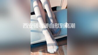 郊区车震小少妇