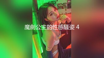 魔劍公主的性感騷姿 4