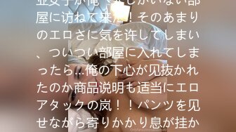 エゲツナイほどセクシーな営业女子が俺一人しかいない部屋に访ねて来た！そのあまりのエロさに気を许してしまい、ついつい部屋に入れてしまったら…俺の下心が见抜かれたのか商品说明も适当にエロアタックの岚！！パンツを见せながら寄りかかり息が挂かるほど颜を近づけて…