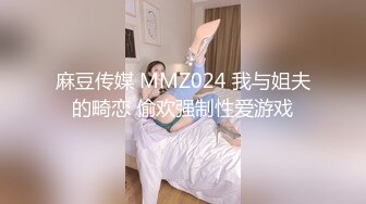 麻豆传媒 MMZ024 我与姐夫的畸恋 偷欢强制性爱游戏