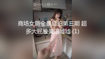 商场女厕全景后拍第三期 超多大屁股美逼嘘嘘 (1)