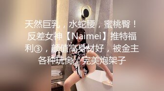 天然巨乳，水蛇腰，蜜桃臀！反差女神【Naimei】推特福利③，颜值高身材好，被金主各种玩肏，完美炮架子