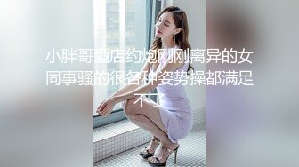 小胖哥酒店约炮刚刚离异的女同事骚的很各种姿势操都满足不了