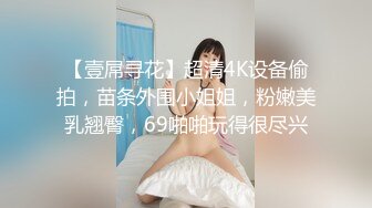 【壹屌寻花】超清4K设备偷拍，苗条外围小姐姐，粉嫩美乳翘臀，69啪啪玩得很尽兴