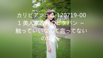 カリビアンコム 120719-001 美人家政婦のピタパン ～触っていいなんて言ってないのに…～